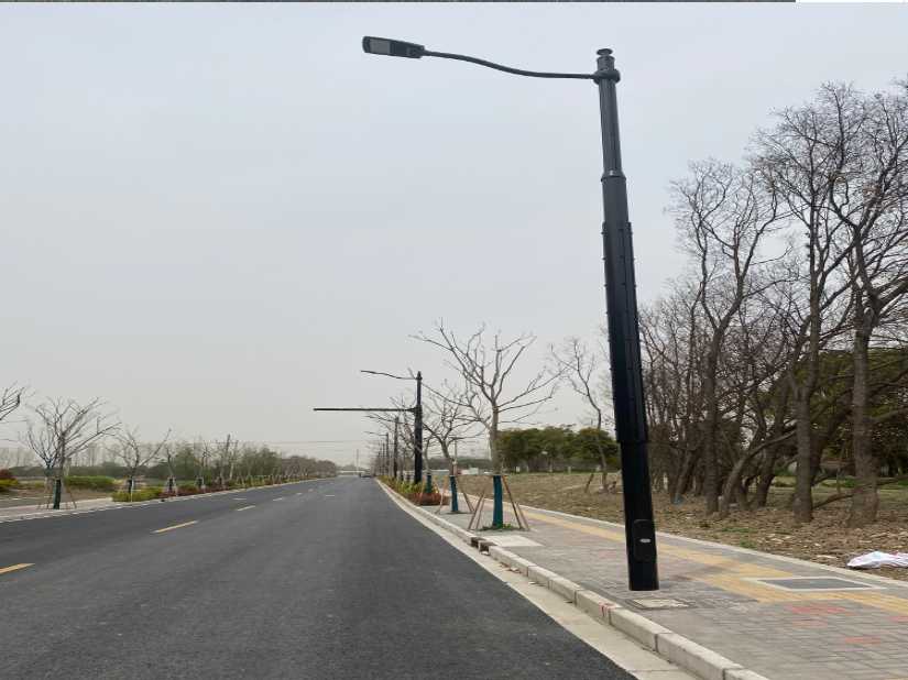 百色上海综合杆 太阳能路灯工程